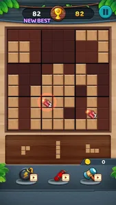 Wood Sudoku: Block Puzzle 333 screenshot 5