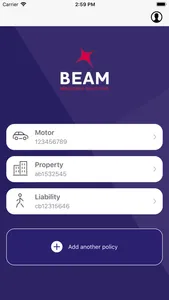 Beam Insurance Solutions screenshot 1