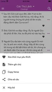 Holy Bible in Vietnamese screenshot 5