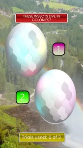 Egg Challenge – A Trivia Game screenshot 3