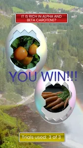 Egg Challenge – A Trivia Game screenshot 5