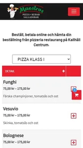 Maestros Pizzeria screenshot 0