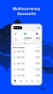 Wirepay - Global Payment screenshot 0