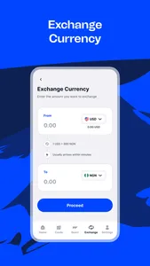 Wirepay - Global Payment screenshot 5