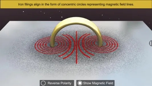 Magnetic Field And Current screenshot 8