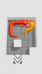 Snake Puzzle 3D screenshot 1