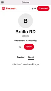 Briillo screenshot 4