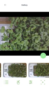 microgreens by LEAF LEARN screenshot 8