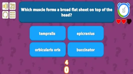 Muscular System Anatomy Quiz screenshot 1