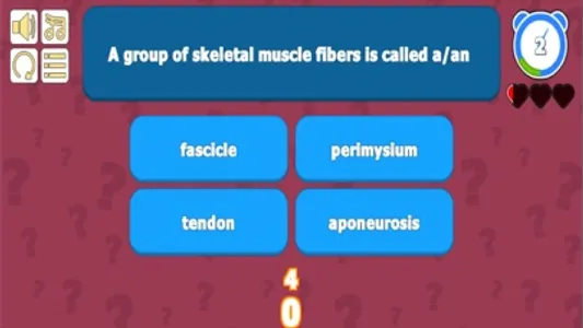 Muscular System Anatomy Quiz screenshot 3