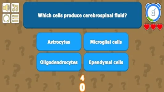 Muscular System Anatomy Quiz screenshot 4