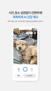 도닥케어 - 반려가족 AI 메디컬 앱 screenshot 1
