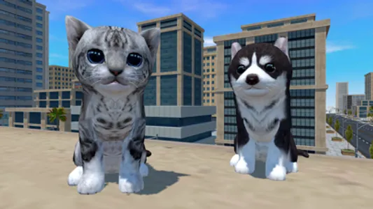 Cute Cat And Puppy World screenshot 0