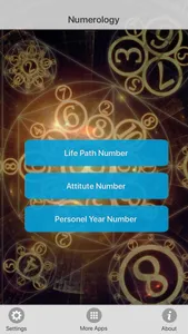 Your Numerology Calculator screenshot 0