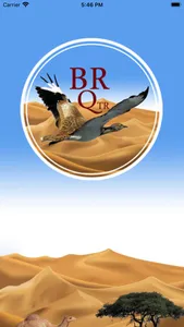 BR QTR Rider screenshot 0