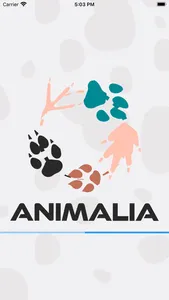 Animalia screenshot 0