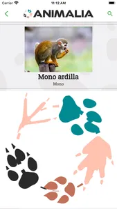 Animalia screenshot 5