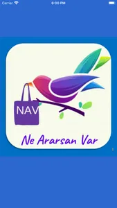 NAV screenshot 0