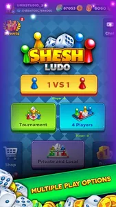 SheshLudo 2021 best board game screenshot 0