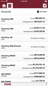 Sturgis Bank Business screenshot 3