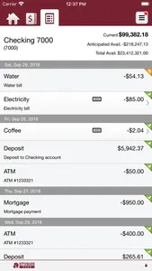 Sturgis Bank Business screenshot 4