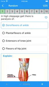 Physiotherapy Quiz screenshot 2