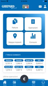 Ghepard Fuel Card screenshot 2