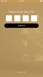 Snowball Financial screenshot 2