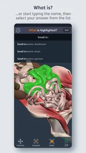 Primal's 3D Human Anatomy Quiz screenshot 2