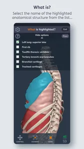 Primal's 3D Human Anatomy Quiz screenshot 3