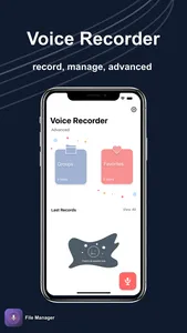 Voice Recorder - PRO screenshot 0