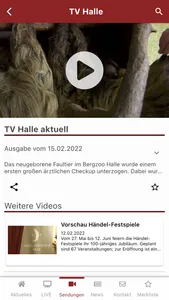 TV Halle screenshot 4