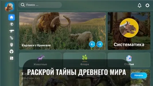 3Д Динопедия: Палеонтология screenshot 4