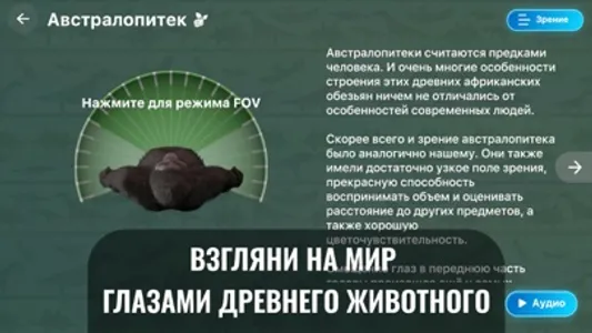 3Д Динопедия: Палеонтология screenshot 5