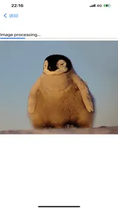 Image Upsample screenshot 0