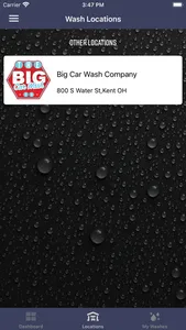 Big Car Wash Co screenshot 1