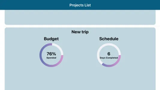 Project Budget Management screenshot 9