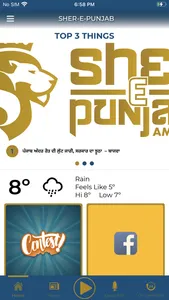 Sher-E-Punjab Radio screenshot 1