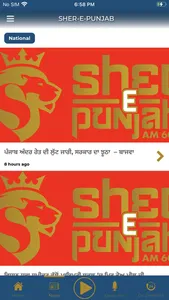 Sher-E-Punjab Radio screenshot 2