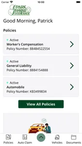 Park Georgia Insurance screenshot 1