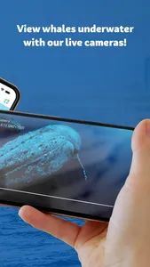 Sea World Cruises screenshot 2