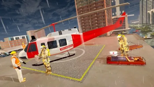 Disaster Rescue Service screenshot 0