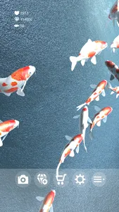 Koi - Aquarium screenshot 1