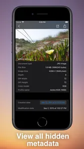MetaRazer screenshot 1