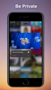 MetaRazer screenshot 2