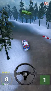 RallyMaster 3D screenshot 9