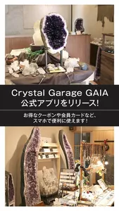 Crystal Garage GAIA screenshot 0