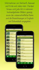 Getreide & Feldfrüchte & Quiz screenshot 2