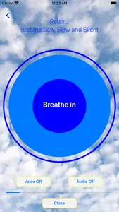 Breathing Pattern screenshot 1