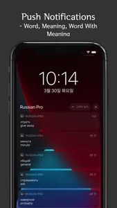 Russian Vocab Pro screenshot 4